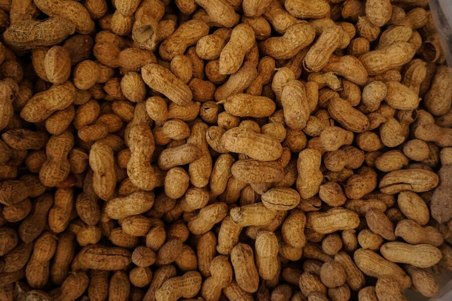 peanuts