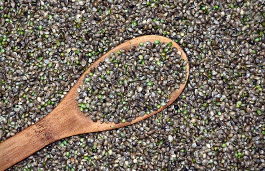 hemp seed