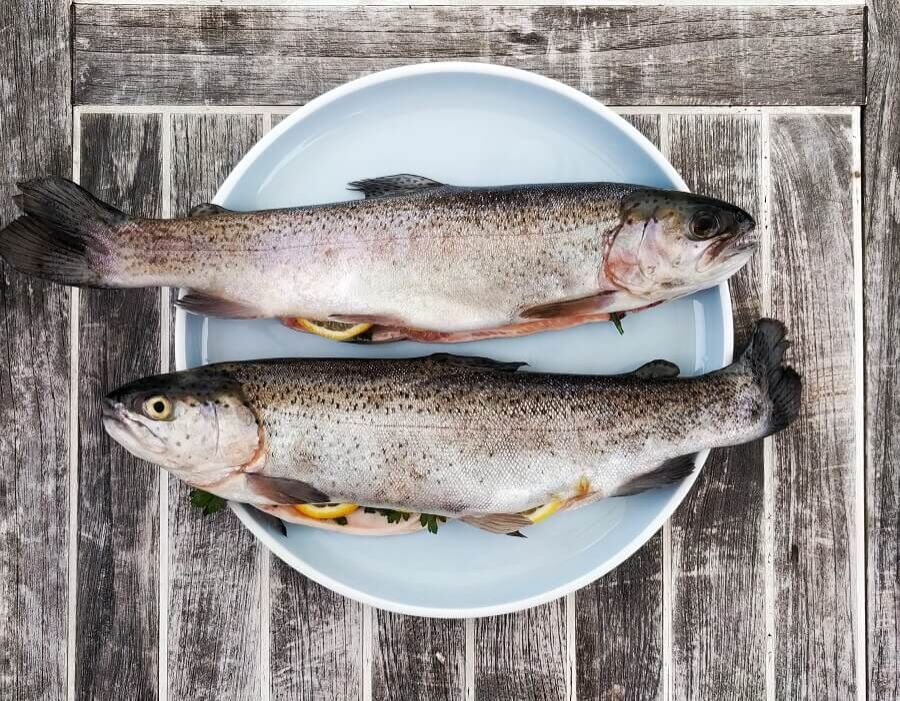 Cooked-Trout