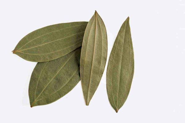 Indian Bay Leaves