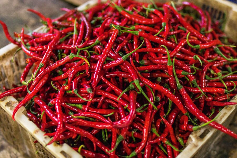 chillies (1)