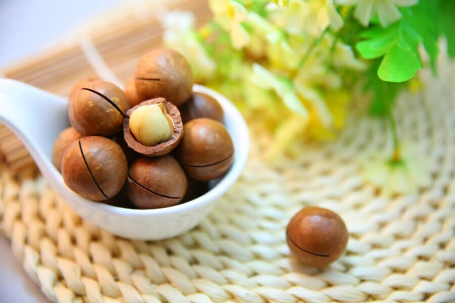 macadamia nut